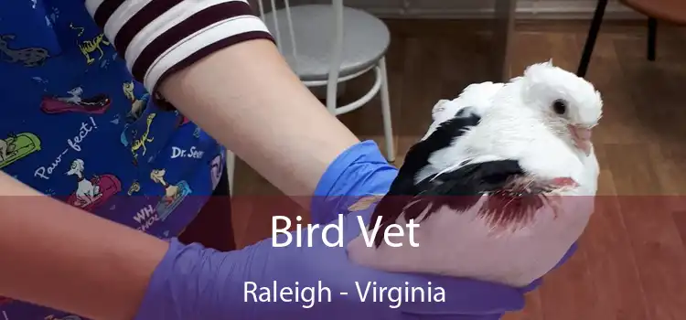 Bird Vet Raleigh - Virginia