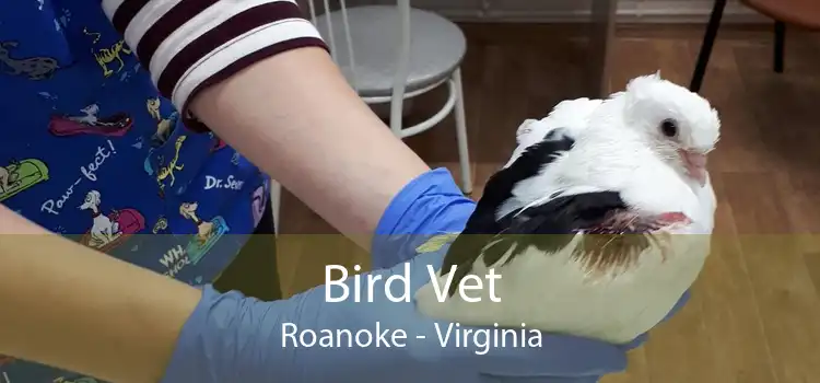 Bird Vet Roanoke - Virginia