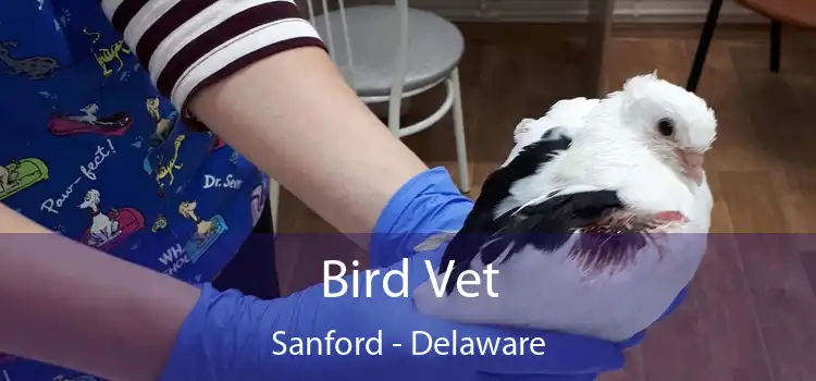 Bird Vet Sanford - Delaware