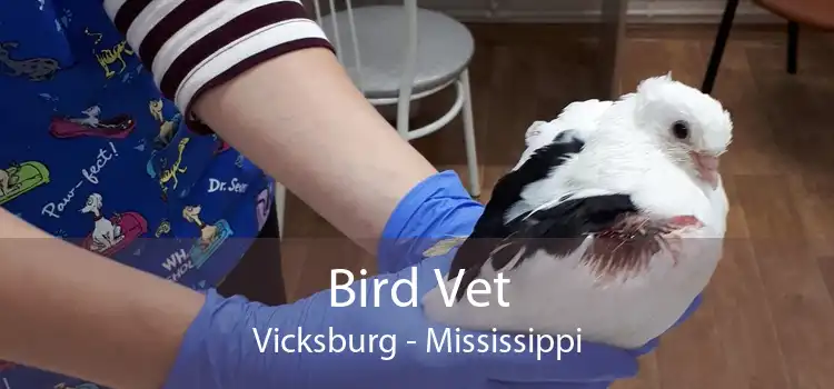 Bird Vet Vicksburg - Mississippi