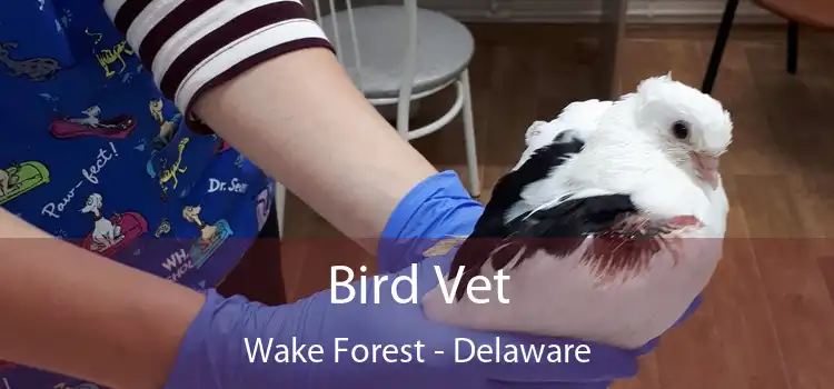 Bird Vet Wake Forest - Delaware