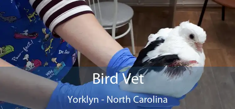 Bird Vet Yorklyn - North Carolina