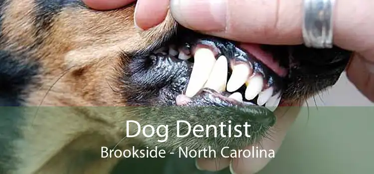 Dog Dentist Brookside - North Carolina