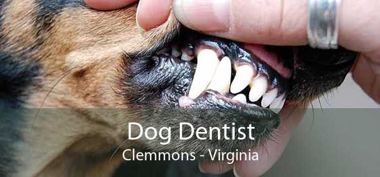 Dog Dentist Clemmons - Virginia