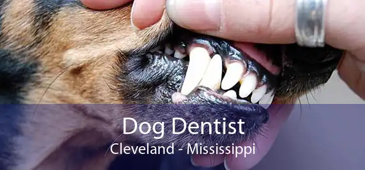 Dog Dentist Cleveland - Mississippi