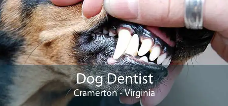 Dog Dentist Cramerton - Virginia