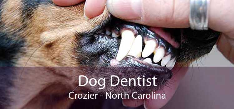 Dog Dentist Crozier - North Carolina