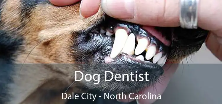 Dog Dentist Dale City - North Carolina