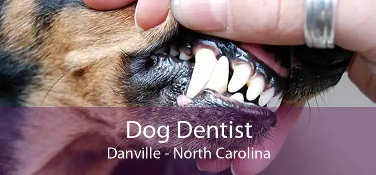 Dog Dentist Danville - North Carolina
