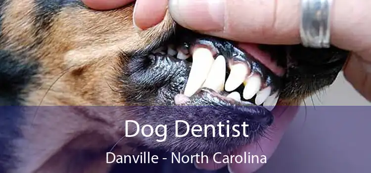 Dog Dentist Danville - North Carolina