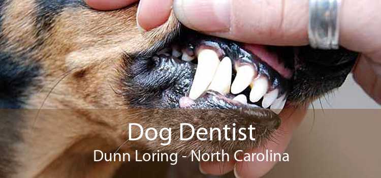 Dog Dentist Dunn Loring - North Carolina