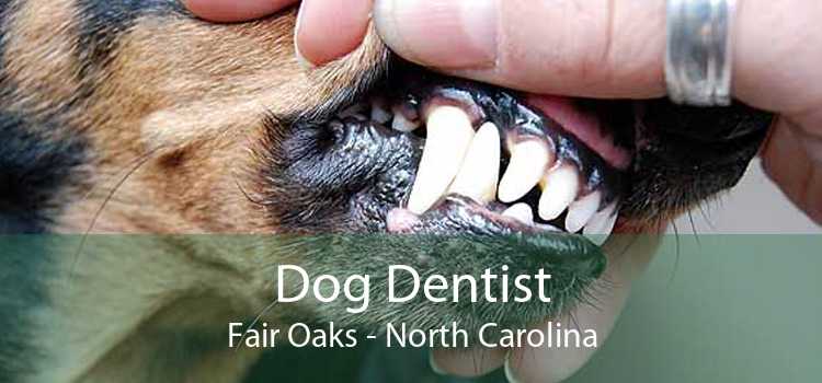Dog Dentist Fair Oaks - North Carolina