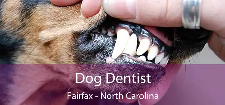 Dog Dentist Fairfax - North Carolina