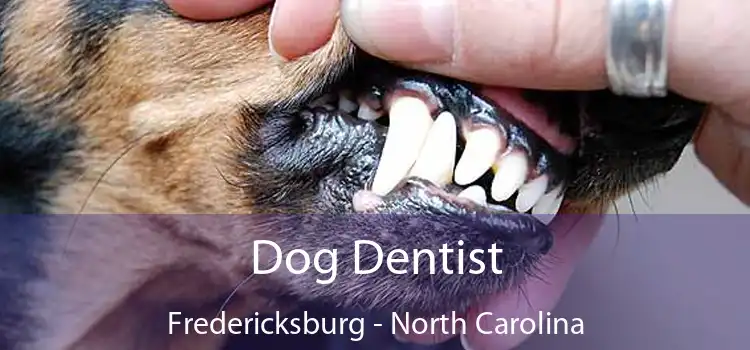 Dog Dentist Fredericksburg - North Carolina