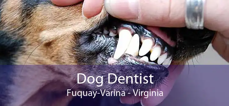 Dog Dentist Fuquay-Varina - Virginia