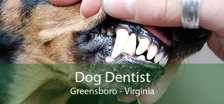 Dog Dentist Greensboro - Virginia