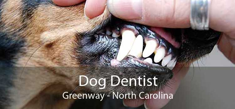 Dog Dentist Greenway - North Carolina