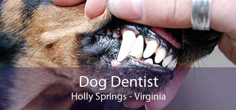 Dog Dentist Holly Springs - Virginia