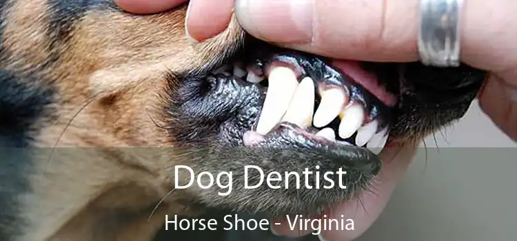 Dog Dentist Horse Shoe - Virginia