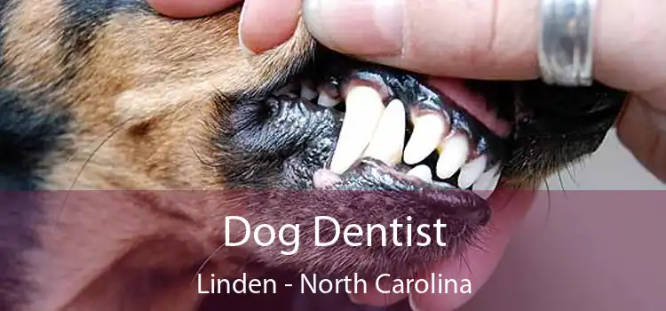 Dog Dentist Linden - North Carolina