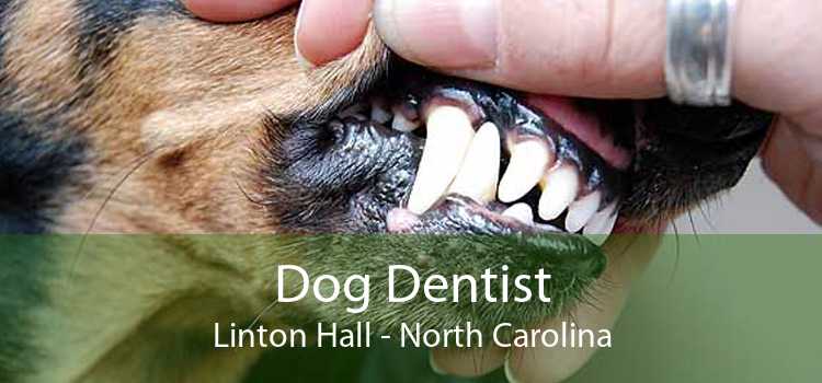 Dog Dentist Linton Hall - North Carolina