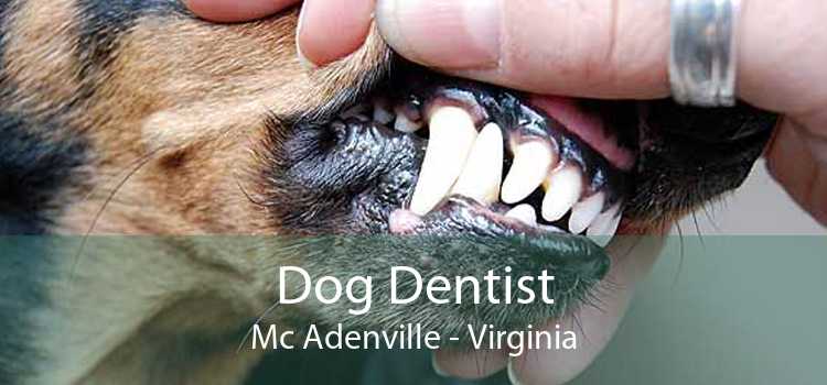Dog Dentist Mc Adenville - Virginia
