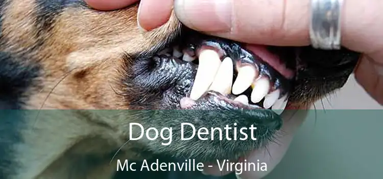 Dog Dentist Mc Adenville - Virginia