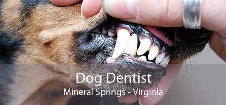 Dog Dentist Mineral Springs - Virginia