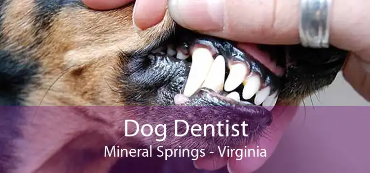 Dog Dentist Mineral Springs - Virginia