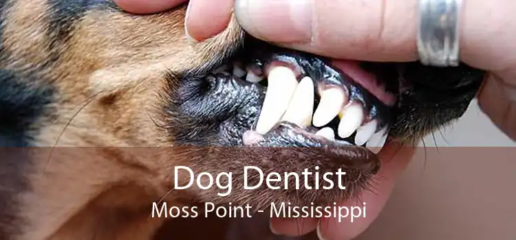 Dog Dentist Moss Point - Mississippi