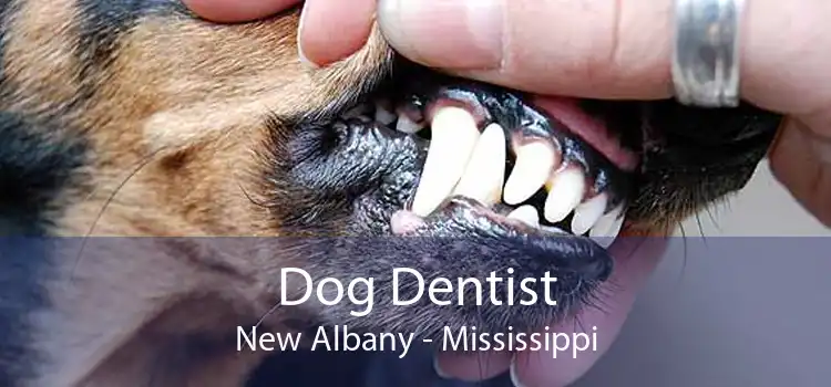 Dog Dentist New Albany - Mississippi