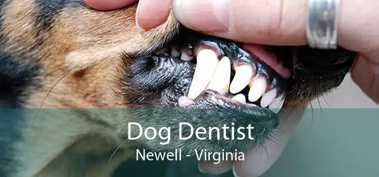 Dog Dentist Newell - Virginia