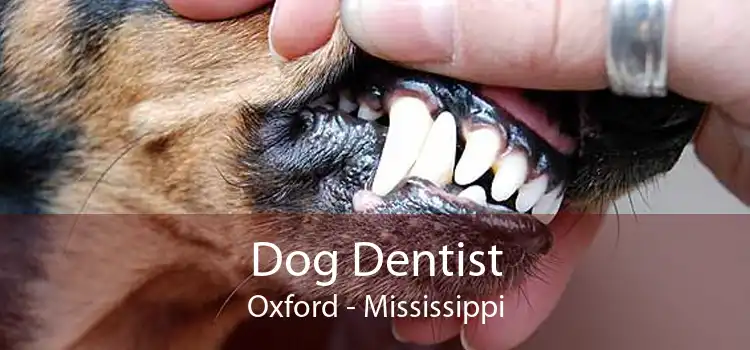 Dog Dentist Oxford - Mississippi