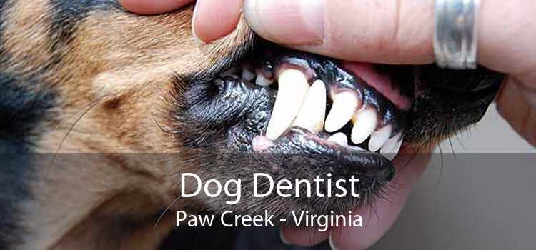 Dog Dentist Paw Creek - Virginia