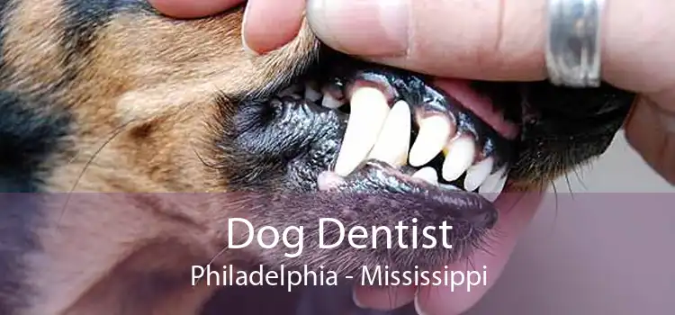Dog Dentist Philadelphia - Mississippi