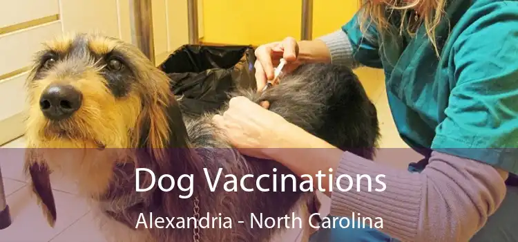 Dog Vaccinations Alexandria - North Carolina