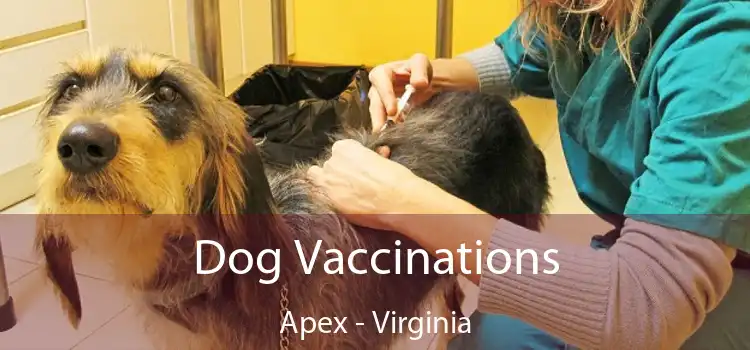 Dog Vaccinations Apex - Virginia