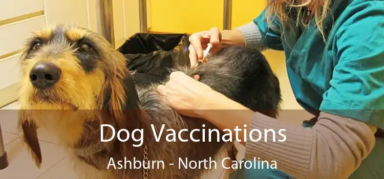 Dog Vaccinations Ashburn - North Carolina