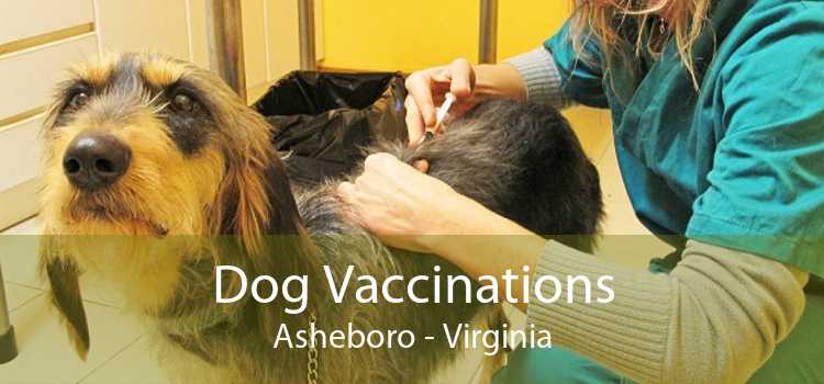 Dog Vaccinations Asheboro - Virginia