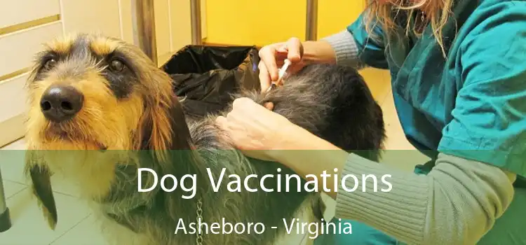 Dog Vaccinations Asheboro - Virginia