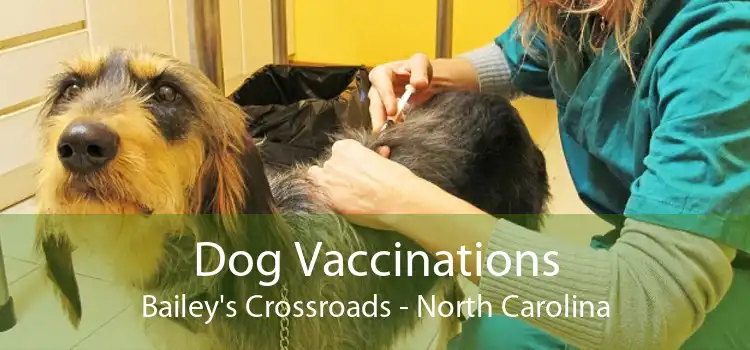 Dog Vaccinations Bailey's Crossroads - North Carolina
