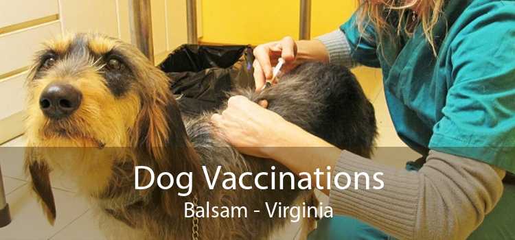 Dog Vaccinations Balsam - Virginia
