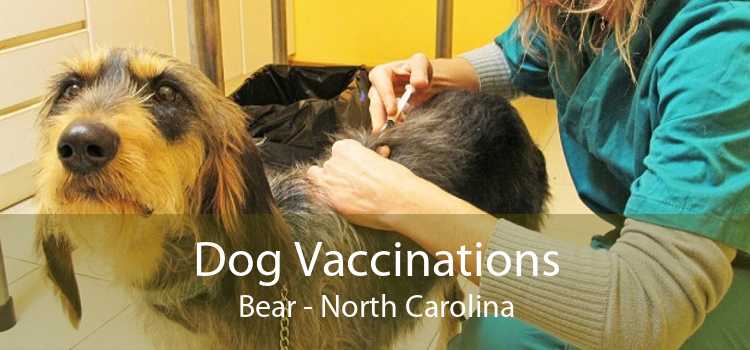 Dog Vaccinations Bear - North Carolina