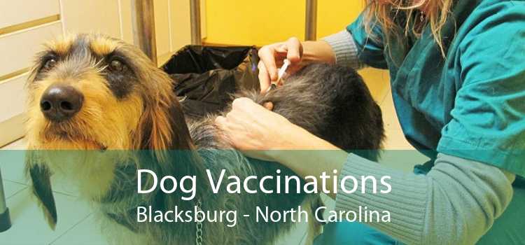 Dog Vaccinations Blacksburg - North Carolina