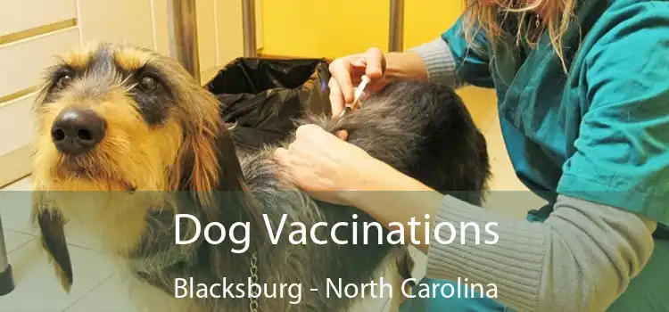 Dog Vaccinations Blacksburg - North Carolina