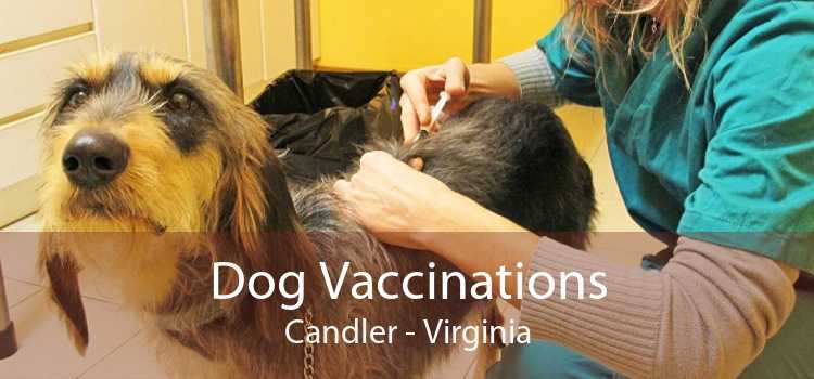 Dog Vaccinations Candler - Virginia