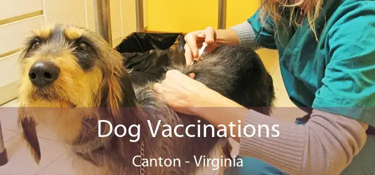 Dog Vaccinations Canton - Virginia