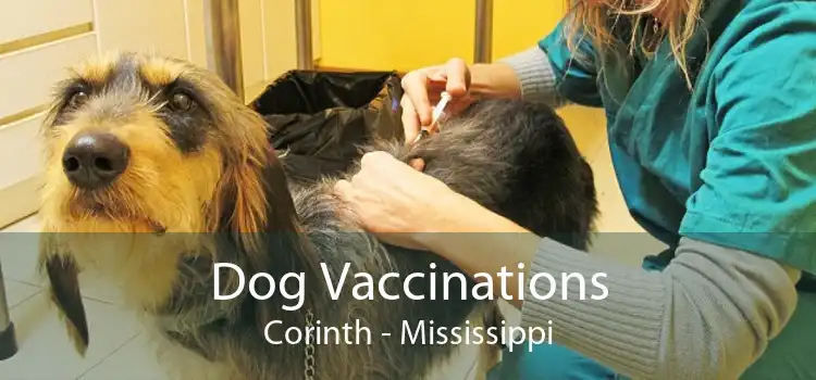 Dog Vaccinations Corinth - Mississippi