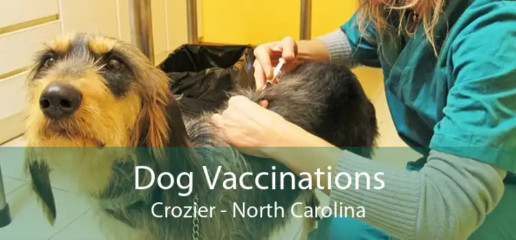 Dog Vaccinations Crozier - North Carolina