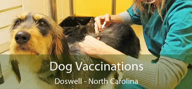 Dog Vaccinations Doswell - North Carolina